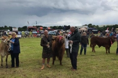 campsie show 2017 (3)