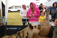 campsie show 2017 (30)