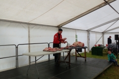 campsie show 2017 (39)