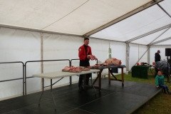 campsie show 2017 (40)