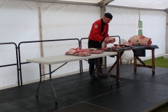 campsie show 2017 (41)