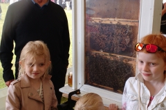 campsie show 2017 (43)