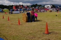 campsie show 2017 (49)